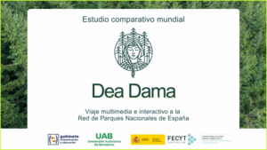 Estudio comparativo mundial Dea Dama