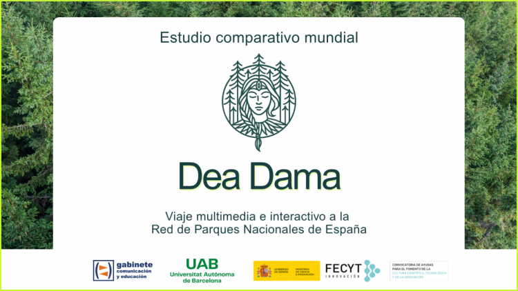 Estudio comparativo mundial Dea Dama